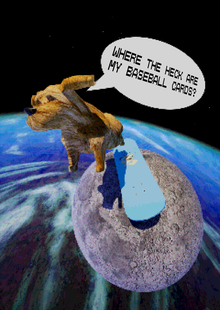Dawg’s Story About Losing His Baseball Cards On The Moon Dawg’s Story About Losing His Baseball Cards On The Moon