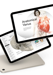 Приложение для изучения анатомии Anatomical Venus