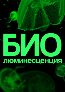 Биолюминесценция