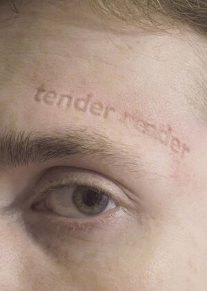 tender render