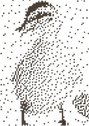 ЗИН «КНИГА ДИСЛЕКСИКА»