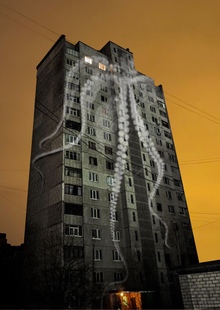 Кальмары