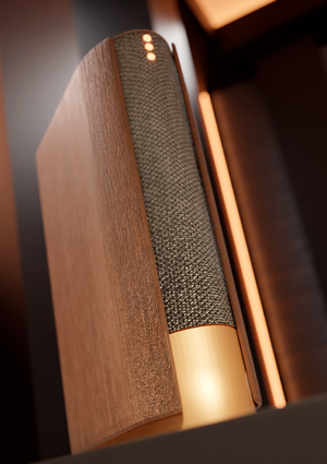 Витрина Bang & Olufsen