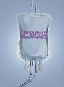METAVERSE