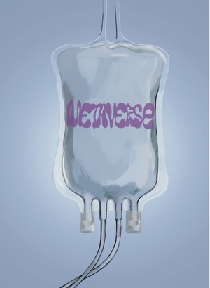 METAVERSE