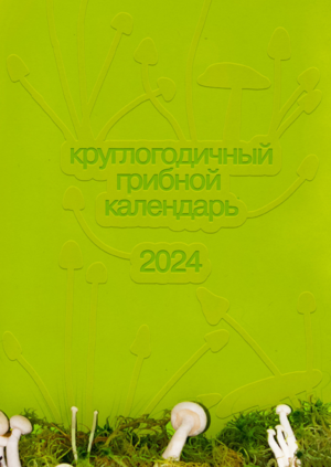 календарь грибов 2024