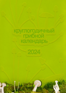 календарь грибов 2024