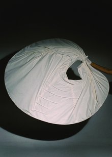 petticoat and crinoline