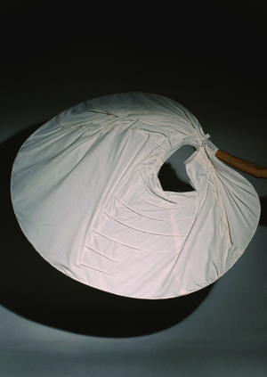 petticoat and crinoline