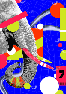 ZOO7