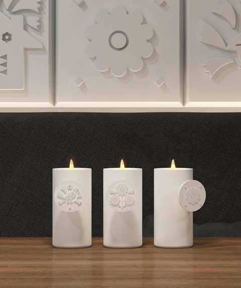 Развитие марки "Алтай Традиция" как бренда региона