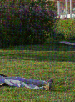 THE ENCYCLOPEDIA OF NON-DANGEROUS CITY INTERVENTIONS