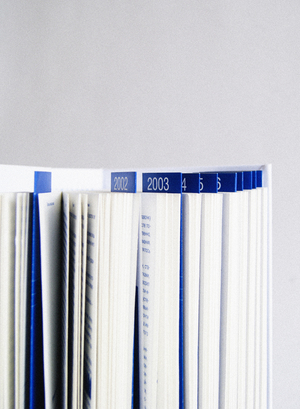 МНОГОПОЛОСНОЕ ИЗДАНИЕ «НУЛЕВЫЕ» 
