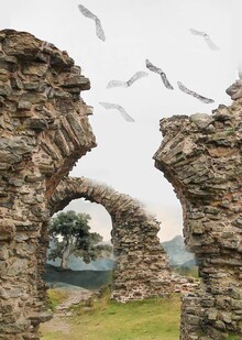 Введение. Концепция исследования