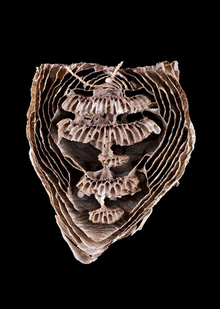 →4. Инженерия и коммуникации