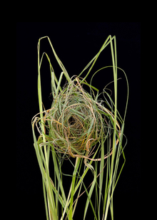 →3. Конструкции и формообразование