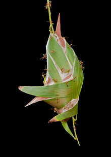 →6. Заключение и вывод