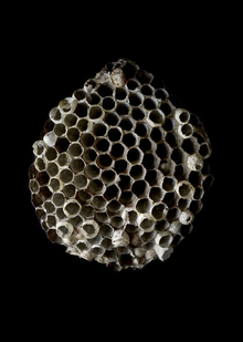 →2. Материалы и виды строительства