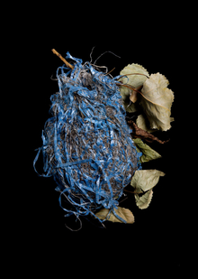 →5. Тенденции биомиметики и прототипы новых технологий