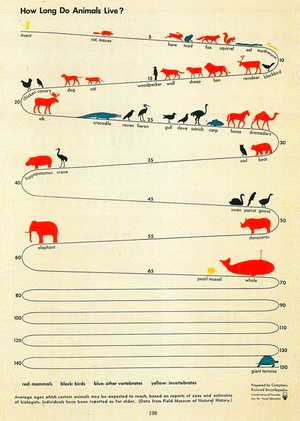 Задания по инфогрфике