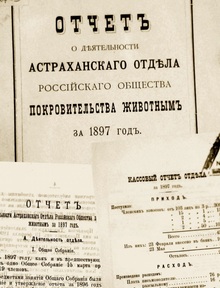 Очерк «Первый председатель: Александр Суворов и рождение российской зоозащиты» Очерк «Первый председатель: Александр Суворов и рождение российской зоозащиты»