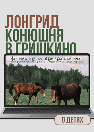 Мультимедийный лонгрид «Четыре ноги, доброе сердце»: как иппотерапия дарит надежду детям с инвалидностью