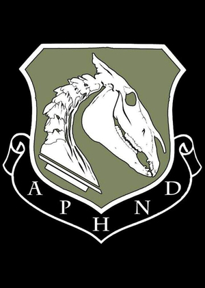 A pale horse named death