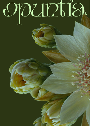 Opuntia Type