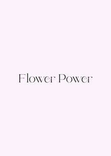 Дизайн проект цветочного бутика FLOWER POWER Дизайн проект цветочного бутика FLOWER POWER