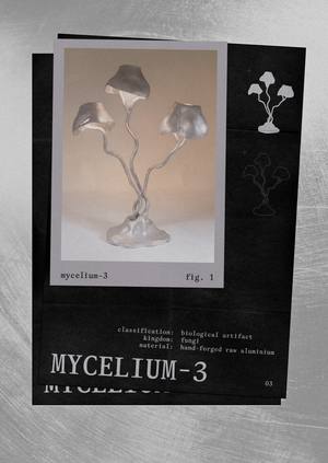 Mycelium-3