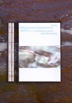 МОРСКИЕ РАКОВИНЫ.  КРАТКИЙ АТЛАС – ОПРЕДЕЛИТЕЛЬ