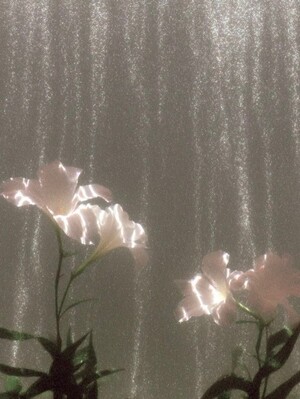 blooming
