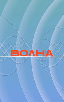 Айдентика музыкального фестиваля «Волна»