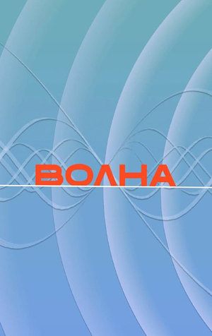 Айдентика музыкального фестиваля "Волна"