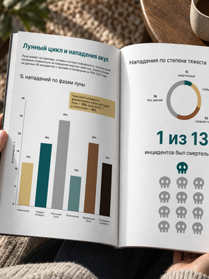 Влияют ли фазы Луны на нападения акул