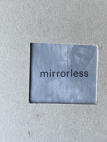 mirrorless mirrorless