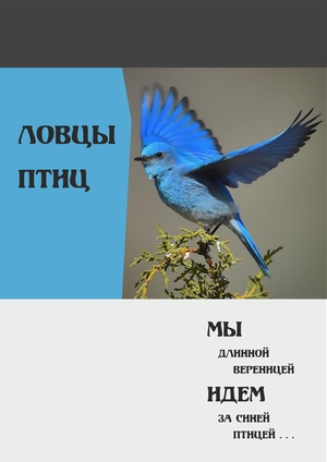 ЛОВЦЫ ПТИЦ