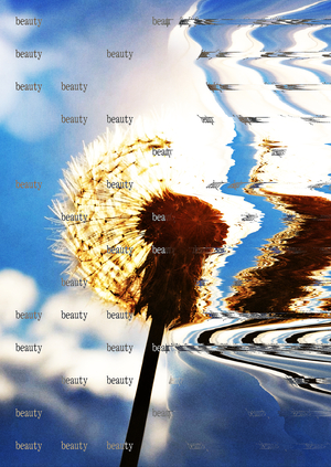 Koreless — Frozen