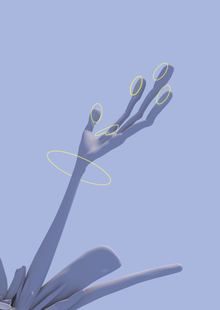 Нейминг и выставление костей