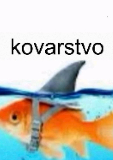 летнее задание
