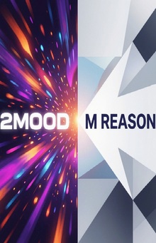 Сравнительный анализ брендов 2Mood и M.Reason Сравнительный анализ брендов 2Mood и M.Reason