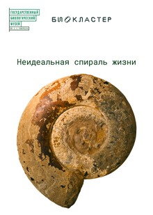 Неидеальная спираль жизни