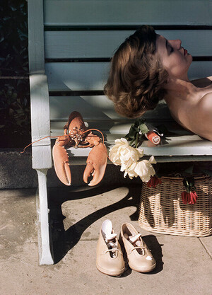 Эволюция фэшн-фотографии, период рассвета 