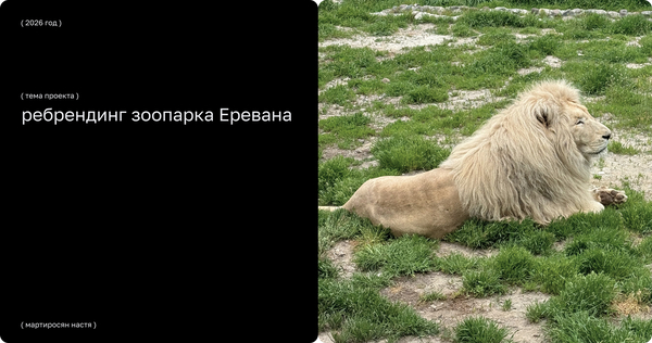 Ребрендинг зоопарка Еревана Ребрендинг зоопарка Еревана