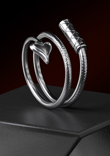 WHIP RING WHIP RING