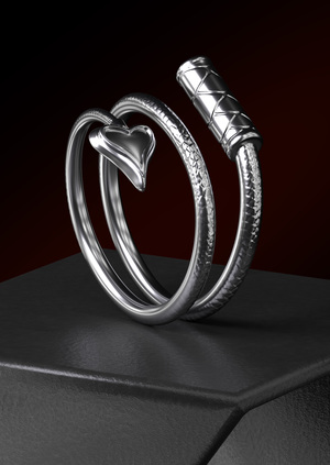 WHIP RING