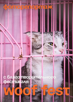 Фоторепортаж с фестиваля WOOF FEST