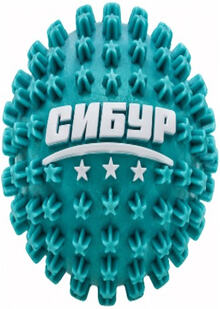 СИБУР: сжимай идеи