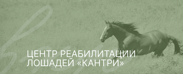 Айденика для реалибитационного центра лошадей
