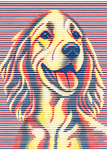 Karel Setter